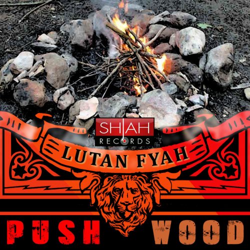Push Wood - Single