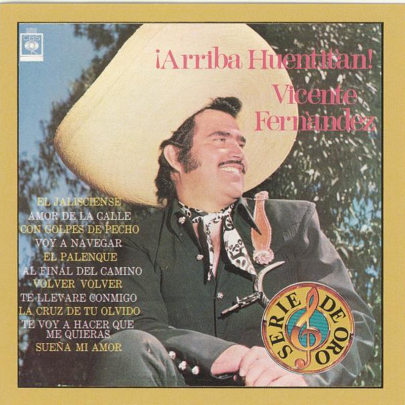 Vicente Fernandez Suena Mi Amor Lyrics Musixmatch