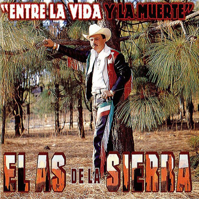 Letra de Me Esta Fallando La Vida de El As De La Sierra Musixmatch