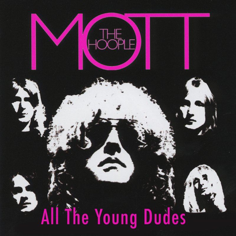 All The Young Dudes Song