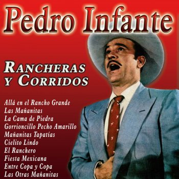 Letras Del Album Rancheras Y Corridos De Pedro Infante Musixmatch