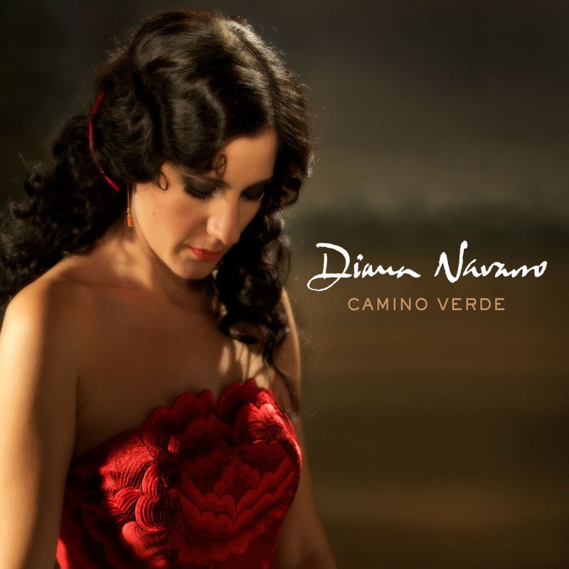 Diana Navarro Una Paloma Blanca Lyrics Musixmatch Yes, they tried to break my power. paloma blanca lyrics musixmatch
