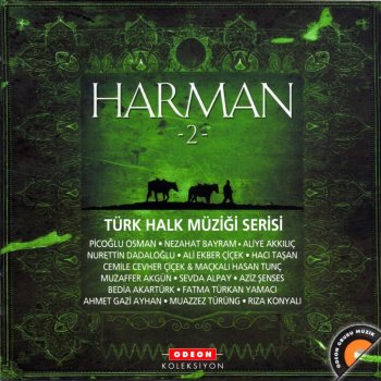 Dedim Kasin Zulfikar Mi Yoh Yoh Testo Aliye Akkilic Mtv Testi E Canzoni