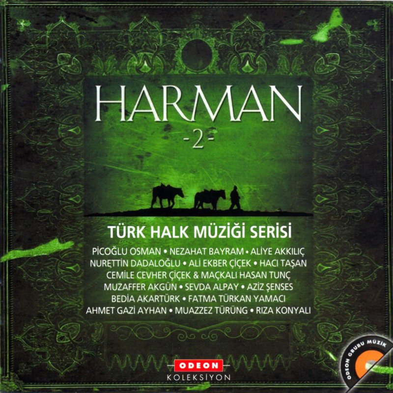 Aliye Akkilic Dedim Kasin Zulfikar Mi Yoh Yoh Lyrics Musixmatch