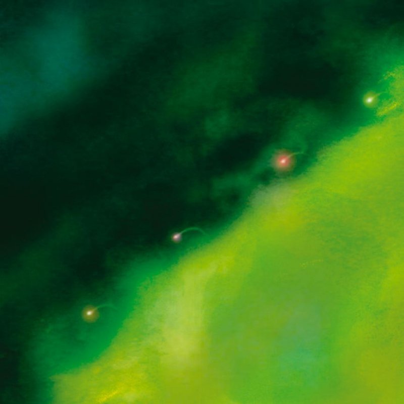 Syd Matters Black And White Eyes Lyrics Musixmatch