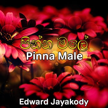 Pinna Male By Various Artists Album Lyrics Musixmatch Comment and share your favourite lyrics. pinna male by various artists album