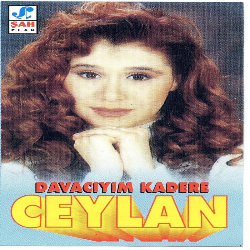 letra de evlerinin onu boyali direk de ceylan musixmatch