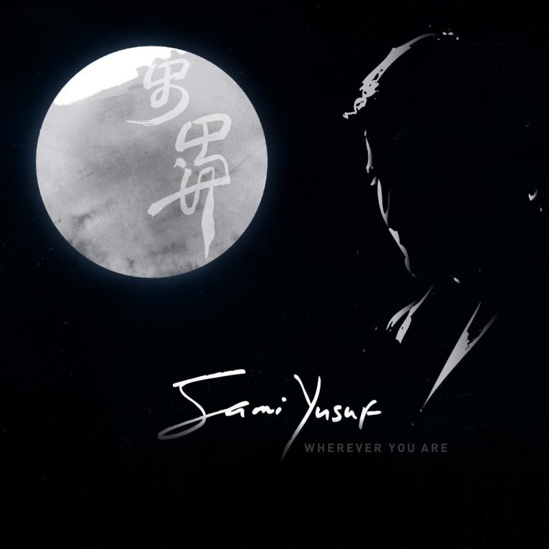 Sami Yusuf You Came To Me Turkish Lyrics Musixmatch