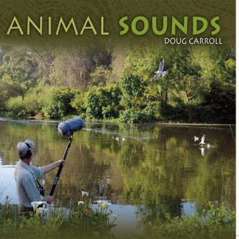 Testi Animal Sounds