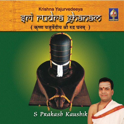 Sri Rudra Ghanam - S Prakash Kaushik