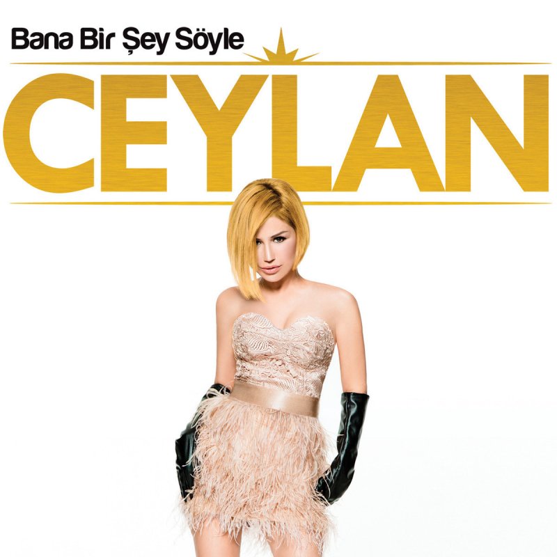 Ceylan Him Him Yar Entarisi Dim Dim Yar Lyrics Musixmatch