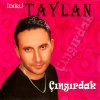 Aski Buldum Gozlerinde Testo Taylan Mtv Testi E Canzoni