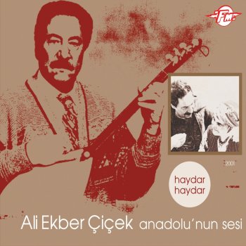Aglama Gozlerim Gurbet Elde Testo Ali Ekber Cicek Mtv Testi E Canzoni