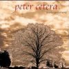 Another Perfect World Peter Cetera - cover art