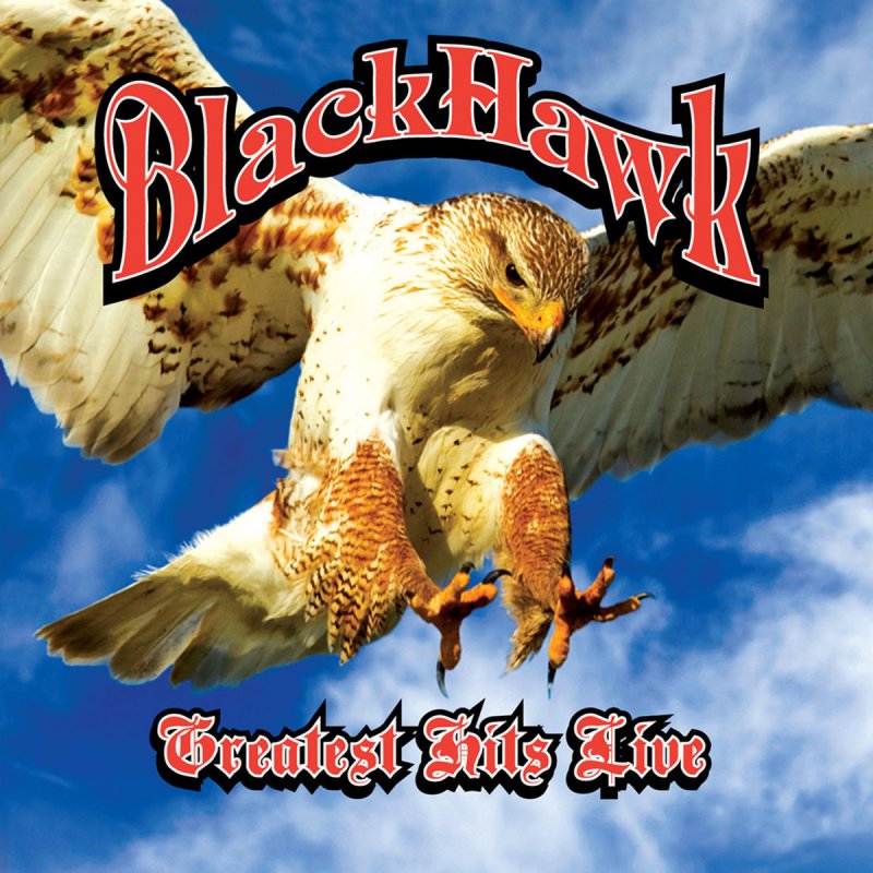 Blackhawk Not Strong Enough Lyrics Musixmatch Like a moth, i'm drawn into your flame, say my name, but it's and i know it's wrong, and i know it's right even if i try to win the fight, my heart would overule my mind and i'm not strong enough to stay away i'm not strong. musixmatch