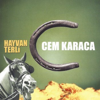 testi canzoni mtv
