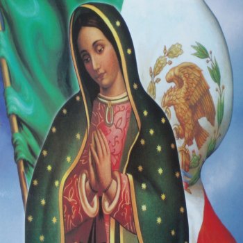Buenos Dias Paloma Blanca Testo Cantos A La Virgen De Guadalupe Mtv Testi E Canzoni 4:01 la virgen de guadalupe 483 049 просмотров. buenos dias paloma blanca testo