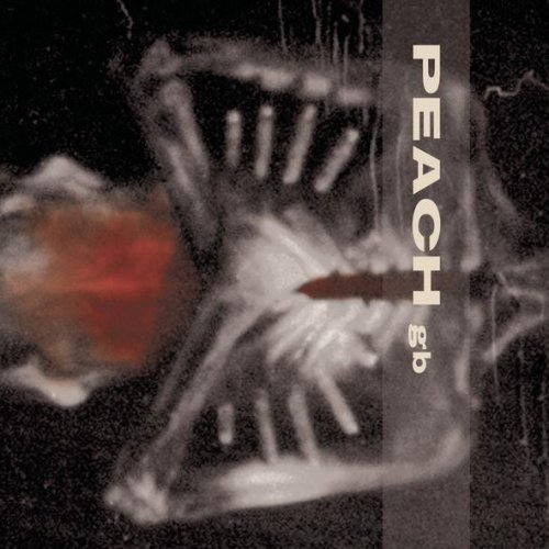 Letra de You Lied de Peach Musixmatch