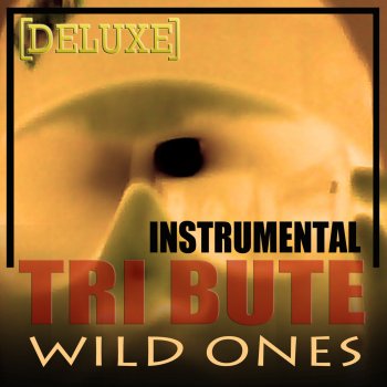 Wild Ones Flo Rida Feat Sia Deluxe Tribute By The Hit Club Album Lyrics Musixmatch musixmatch