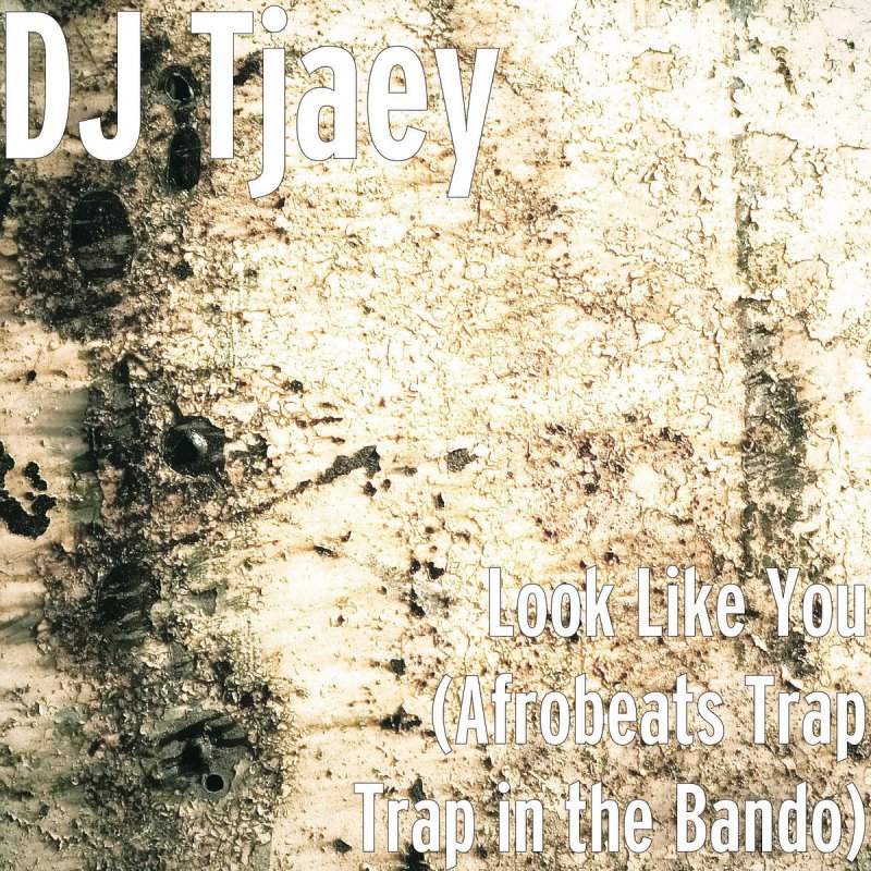 dj tjaey trap in the bando mp3 dj tjaey trap in the bando mp3