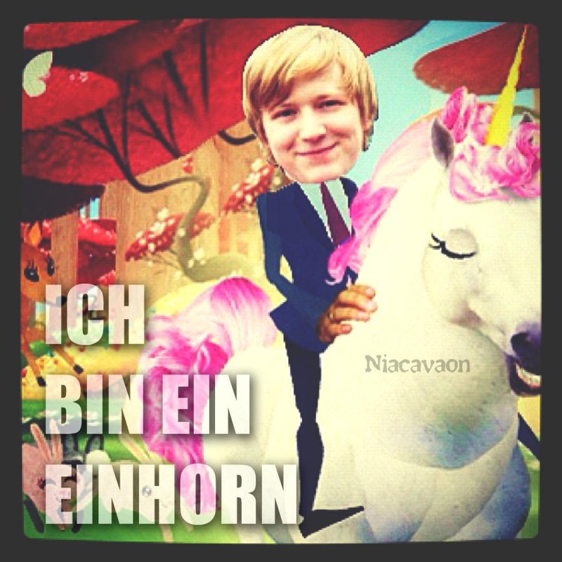 Ich Bin Ein Einhorn So Wurde Ich Geboren
