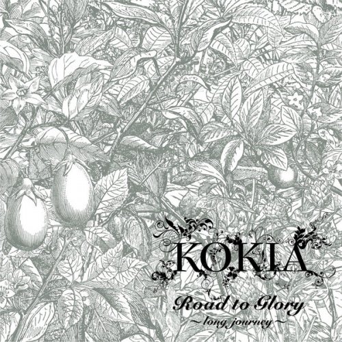 Kokia Road To Glory For Dragon Nest White Version Lyrics Musixmatch Kokia Road To Glory For Dragon Nest White Version Lyrics Musixmatch