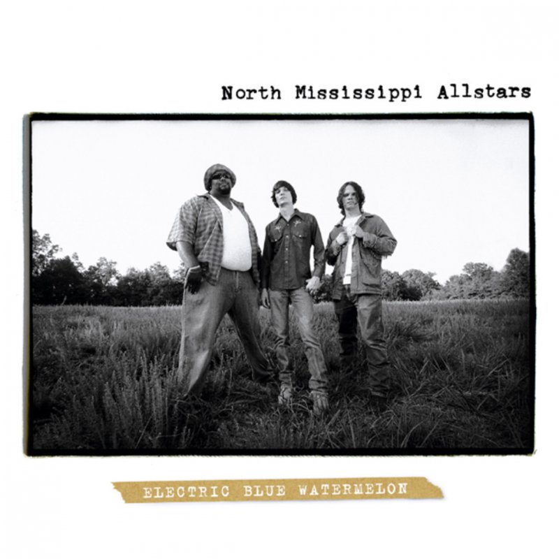 North Mississippi Escorts