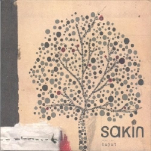 Sakin Denek Hayatim Lyrics Musixmatch