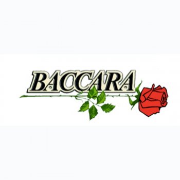 I Belong To Your Heart By Baccara Album Lyrics Musixmatch i belong to your heart by baccara album