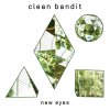 New Eyes Clean Bandit - cover art