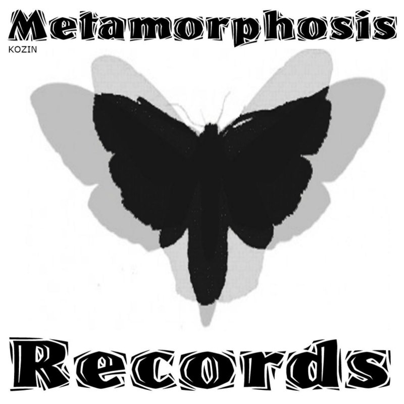 Включи metamorphosis 2. Слово Метаморфоза. Metamorphosis альбом. Metamorphosis логотип. Обложка трека Метаморфоза.