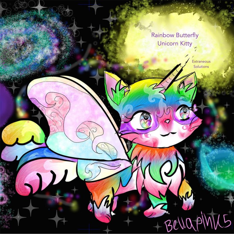 Extraneous Solutions Rainbow Butterfly Unicorn Kitty Lyrics