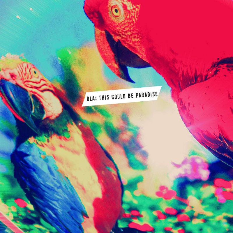 ola this could be paradise скачать