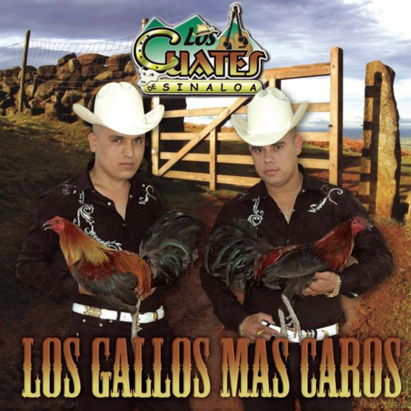 Los Cuates De Sinaloa Soldado Imperial Letra Letra de ¿Qué Le Pasa, Comandante? de Los Cuates de Sinaloa | Musixmatch