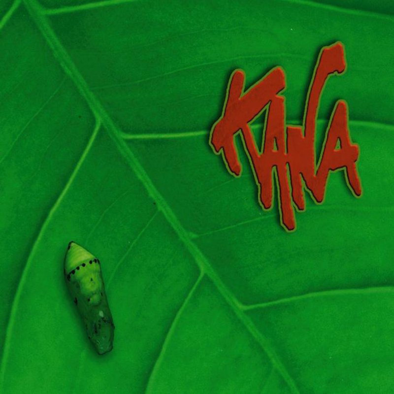 Kana J Ai Des Petit Probleme Dans Ma Plantation Letra De Plantation De Kana Musixmatch