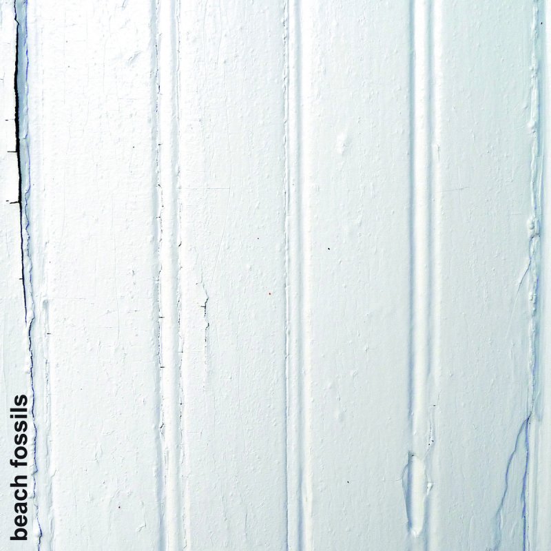 Beach Fossils Twelve Roses Lyrics Musixmatch