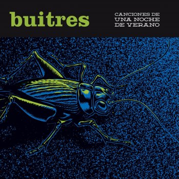 Letras Del Album Canciones De Una Noche De Verano De Buitres Musixmatch El Catalogo De Letras Mas Grande Del Mundo