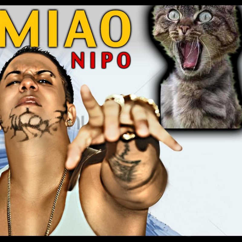 Нипо. Nipo
