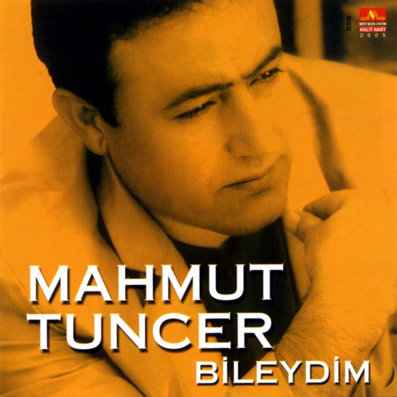 mahmut tuncer altin disli hayriye paroles musixmatch