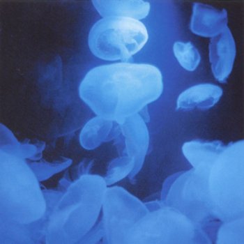 千年回廊 By Himekami Album Lyrics Musixmatch 千年回廊 By Himekami Album Lyrics Musixmatch