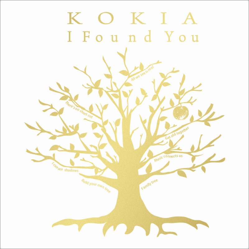 Kokia I Found You Lyrics Musixmatch