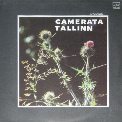 Vincenzo Bellini Dolente Immagine Di Fille Mia Letra Musixmatch