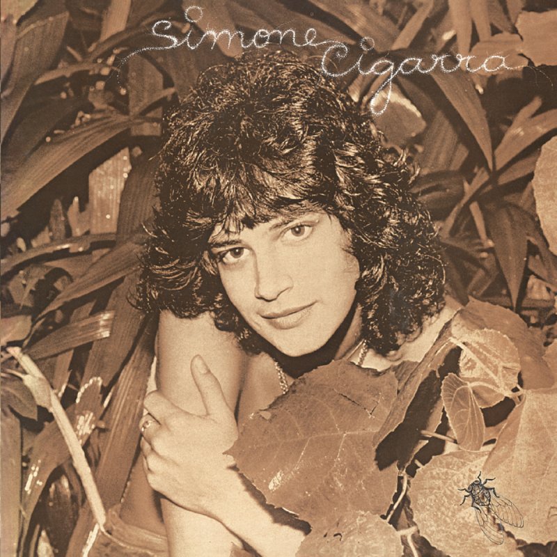 Виа лейся песня александр филаткин. Дин мартин лучшие песни. Песня 1978 исполнители. Amina music. Дин мартин лучшие песни.