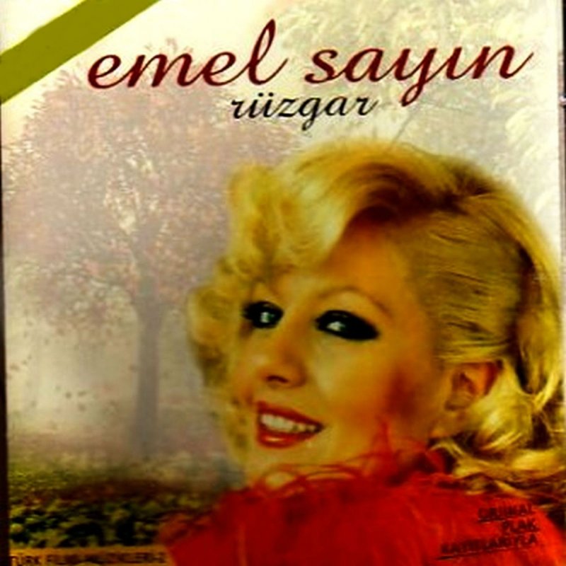 Emel Sayin Senin Olmaya Geldim Letra Musixmatch