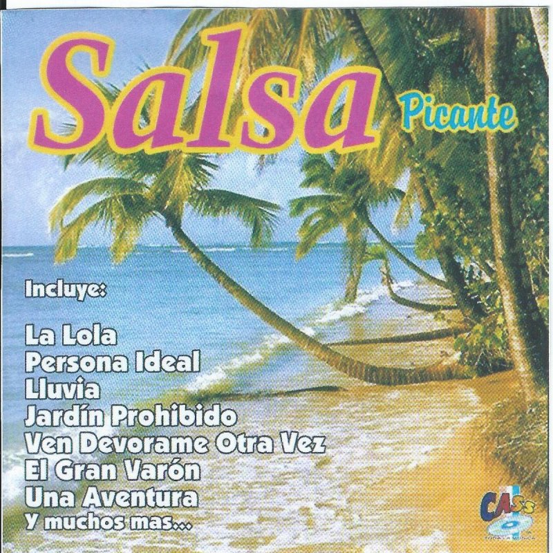 Salsa Picante Lluvia Lyrics Musixmatch ¿cuando parara la lluvia en mi corazon? musixmatch