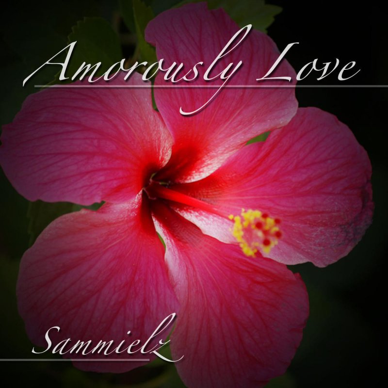 sammielz amorously love