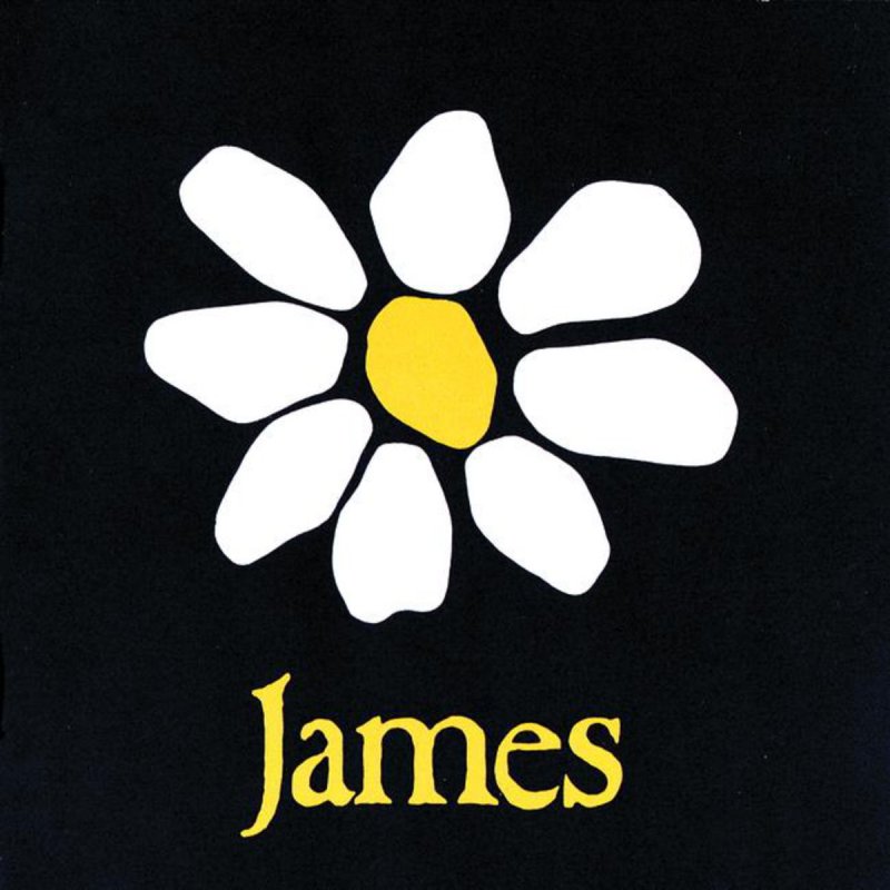 James Come Home Lyrics Musixmatch
