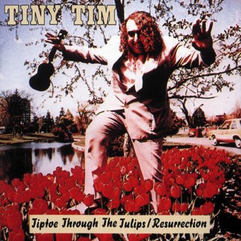 Tiny Tim - Tiptoe Through the Tulips lyrics | Musixmatch