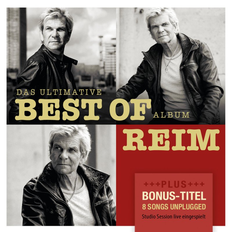 Matthias Reim Feat Michelle Idiot Version 2011 Lyrics Musixmatch