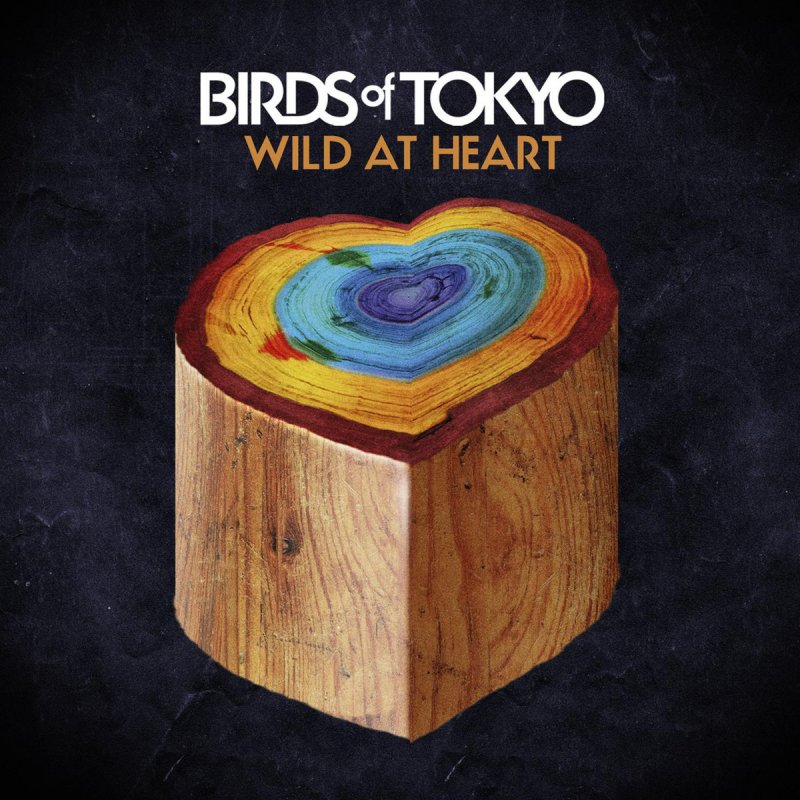 Birds of Tokyo. Heart from Birds.